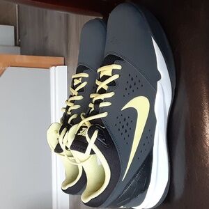 Nike Zoom Attero NBK shoe size 11.5 gray